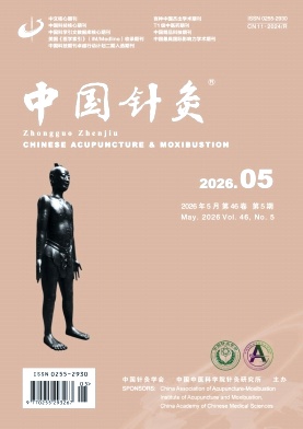 中国针灸封面